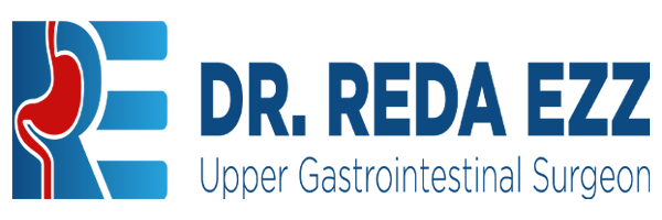 Dr Reda Ezz